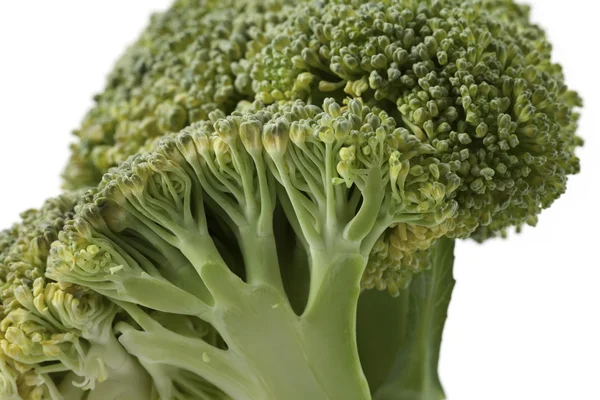 Broccoli in sezione su fondo bianco — Foto Stock