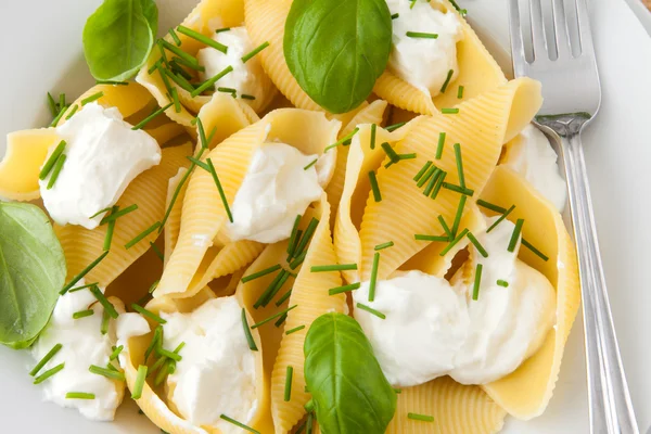 Conchiglioni met ricotta en basilicum — Stockfoto