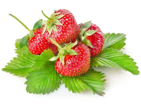 Heap strawberry — Stock Photo, Image