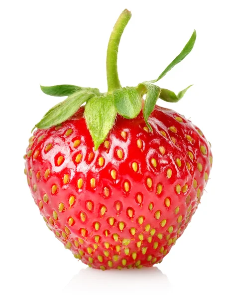 Reife Erdbeeren — Stockfoto