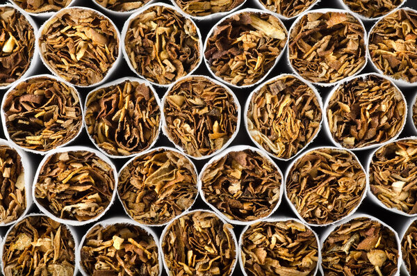 Close-up of cigarettes