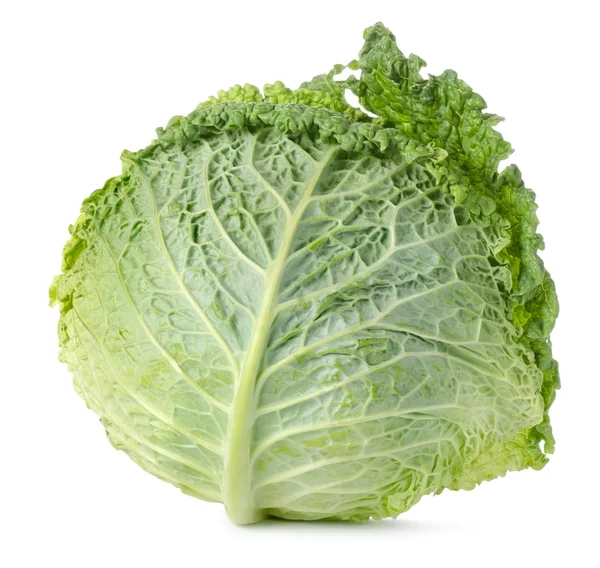 Savoy cabbage isolated — Stock Photo, Image