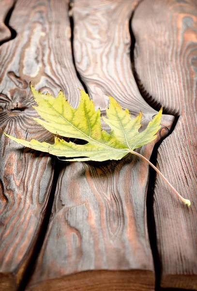 秋天叶木制的桌子上 — 图库照片