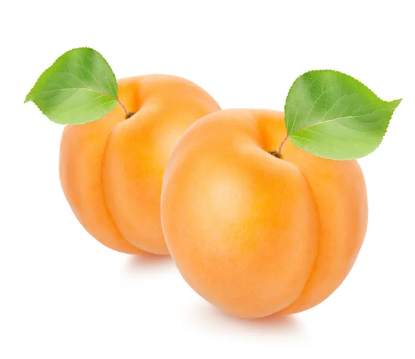 Два абрикоса с листьями — стоковое фото