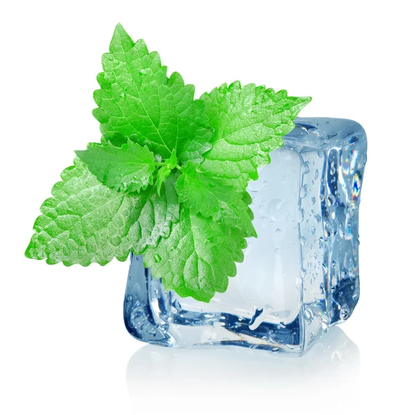 Cubo de hielo y menta — Foto de Stock