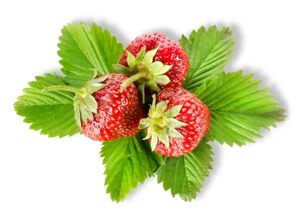 Heap strawberry isolated — Stock Photo, Image