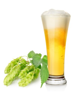 Light bira ve hop