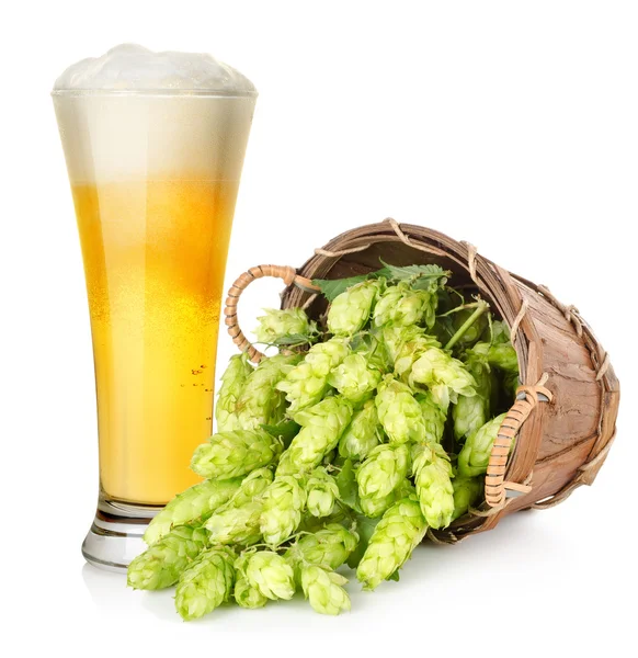 Cerveja e lúpulo em cesta — Fotografia de Stock
