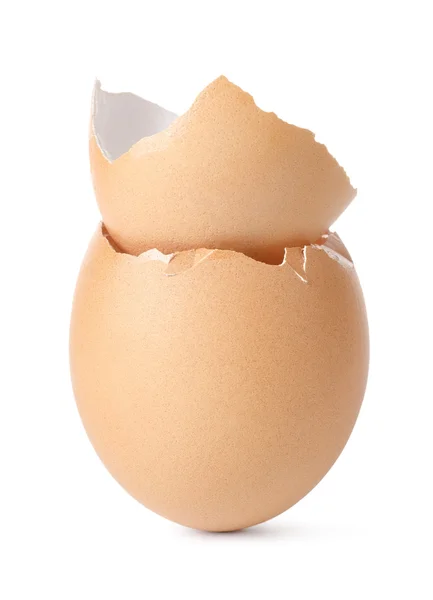 Пустые яйца — стоковое фото