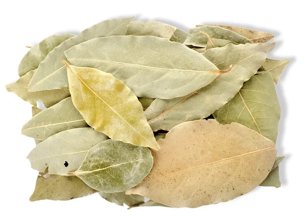 Heap bay leaves — Stock Photo, Image