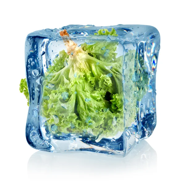 Cubo de gelo e alface — Fotografia de Stock