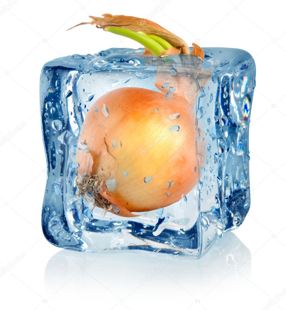 Ice cube and onion Stock Photo by ©Givaga 16557887