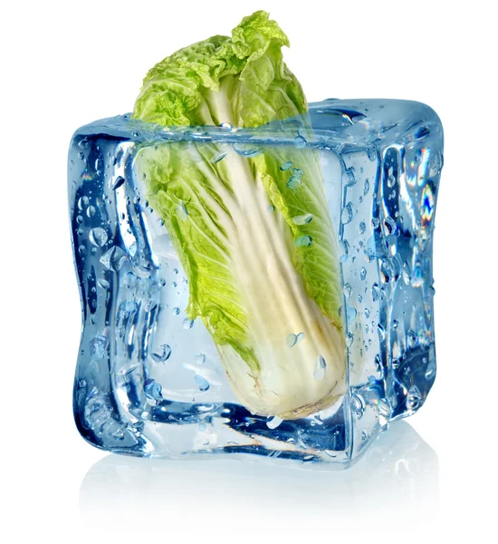 Ice cube i kapusta pekińska — Zdjęcie stockowe