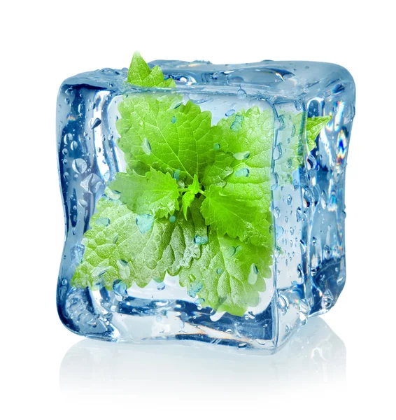 Cubo de hielo y menta —  Fotos de Stock