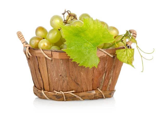 Grapes in a basket isolated — Stock Photo, Image
