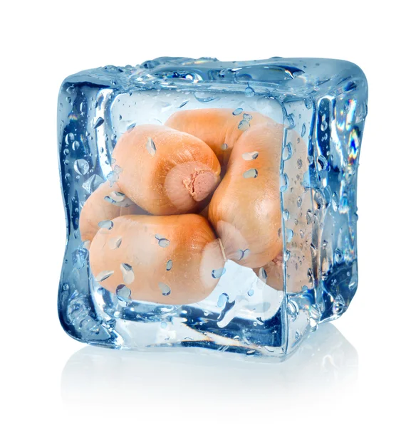 Cubo de gelo e salsicha fumada isolada — Fotografia de Stock