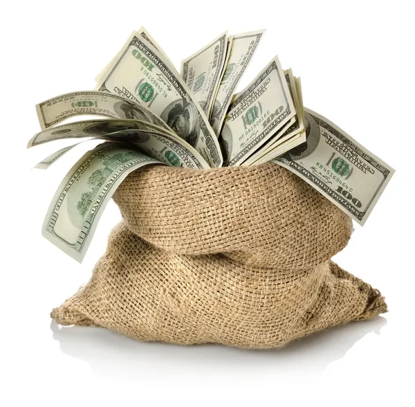 Money in the bag — Stock Photo, Image