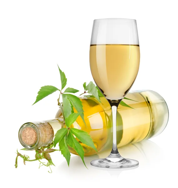 White wine glass and vine — Stock Photo, Image