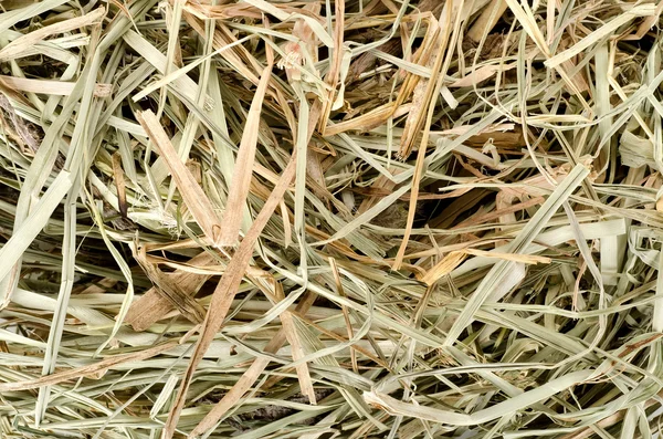 Фон лугового сена — стоковое фото