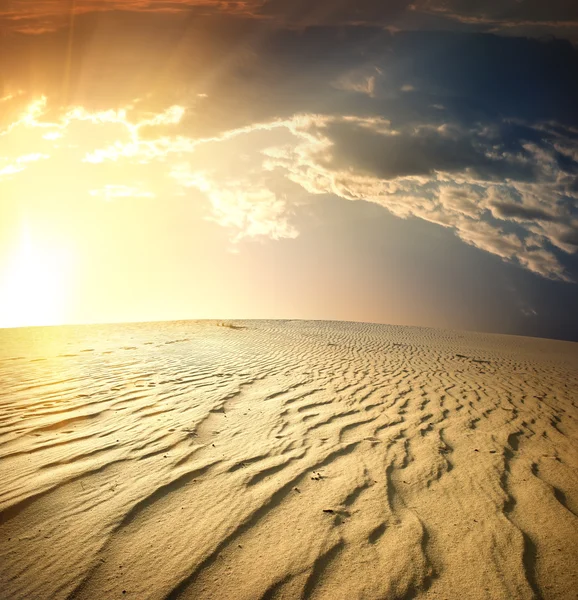 Deserto — Fotografia de Stock