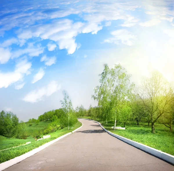 Paved road in a green park — Stock Photo, Image
