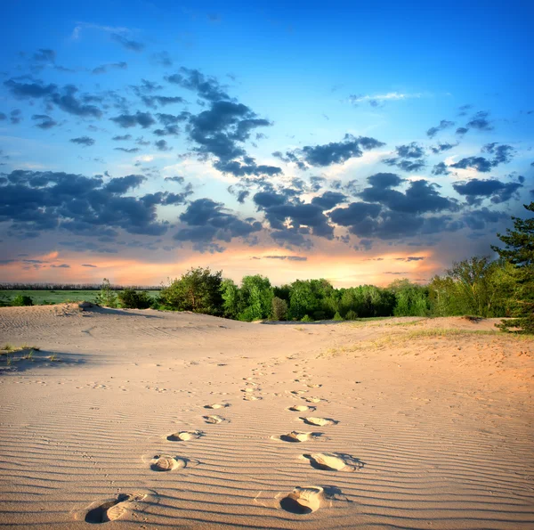 Empreintes de pas dans le sable — Photo