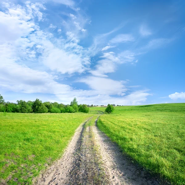 Landweg in een veld — Stockfoto