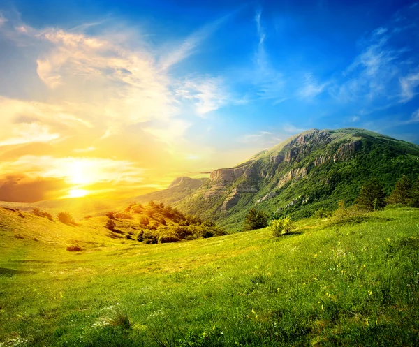 Meadow in mountains — Stock Photo, Image