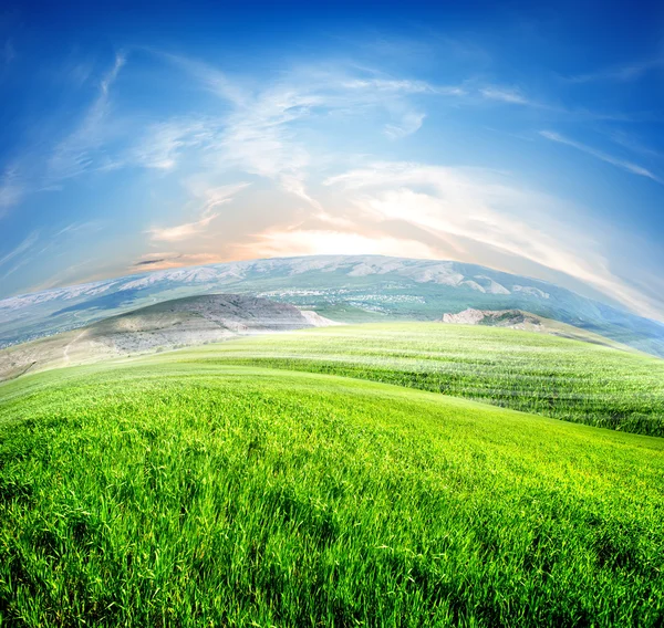 Meadows and mountains — Stock Photo, Image