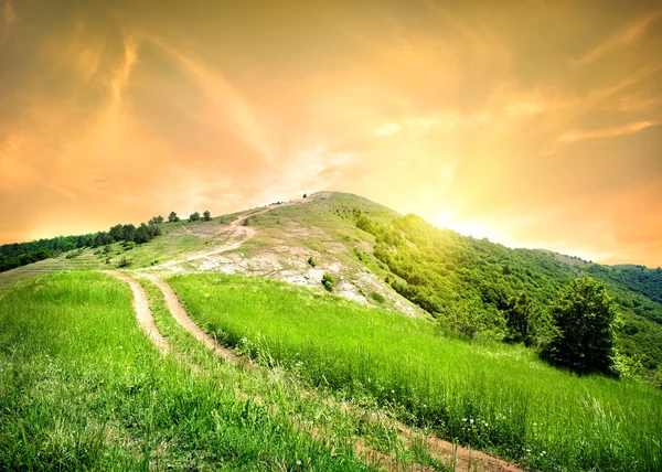 Camino en las montañas — Foto de Stock