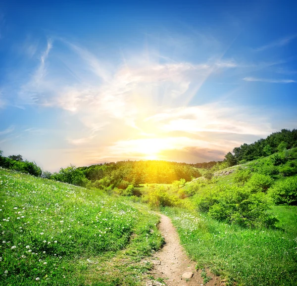 Country road in mountain — Stock Photo, Image