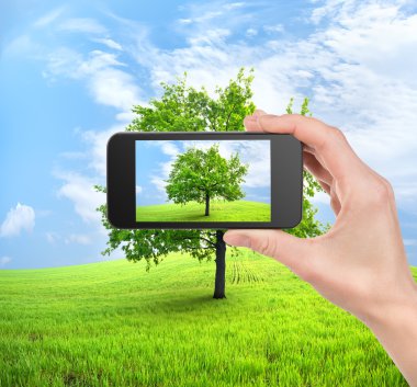 telefon ve ağaç