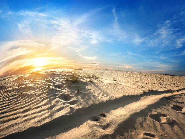 Voetafdrukken in woestijn — Stockfoto
