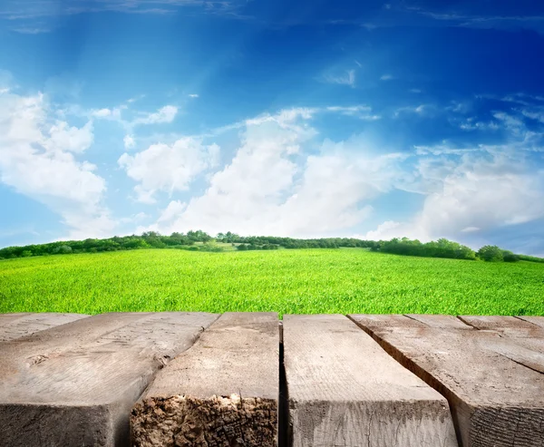 Meadow and wooden floor — Stock Photo, Image