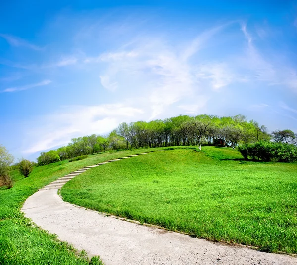 Strada su una collina verde — Foto Stock