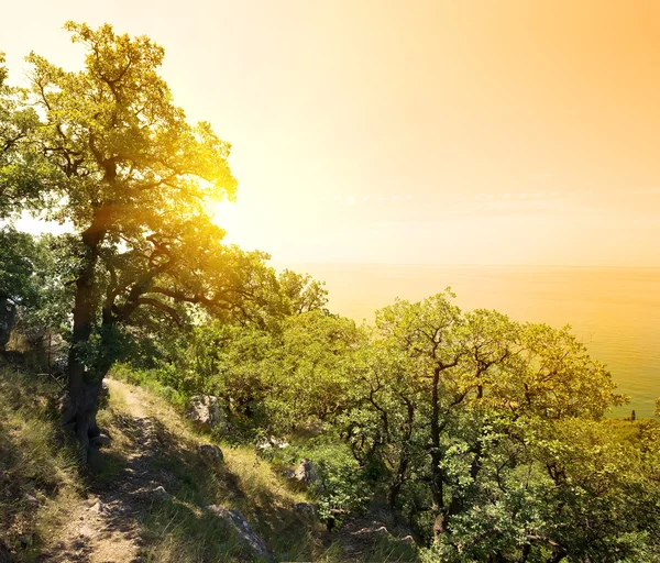 Zonnige landschap — Stockfoto