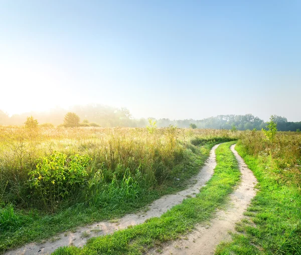 Weg in het veld — Stockfoto