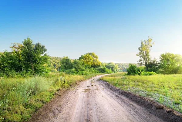 Slingrande väg i ett fält — Stockfoto