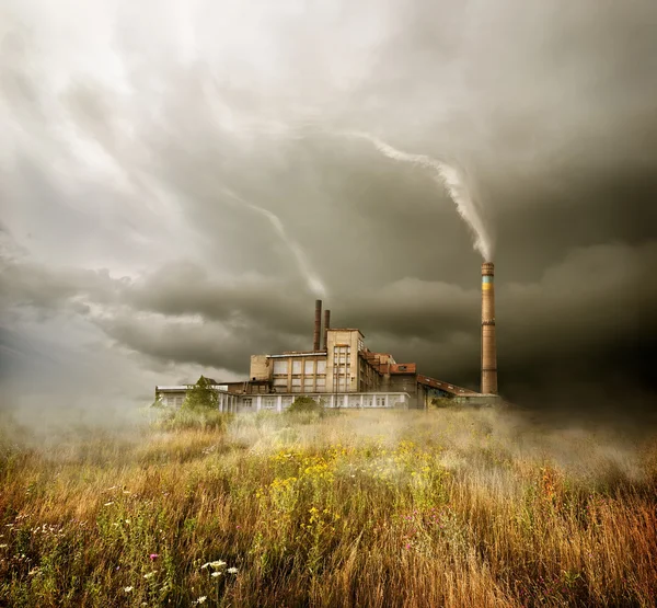 Växt- och mulen himmel — Stockfoto