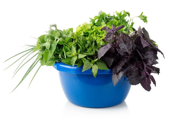 Greens in a bowl — Stock Photo, Image