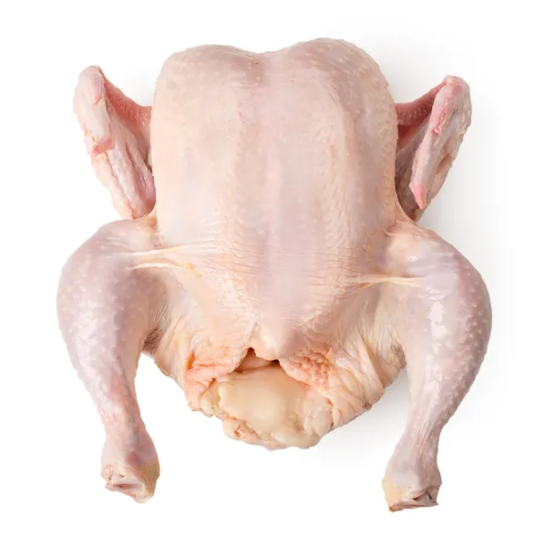 Сырая курица изолирована — стоковое фото