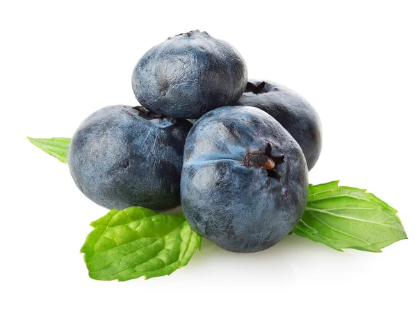 Blueberry — Stock Photo, Image