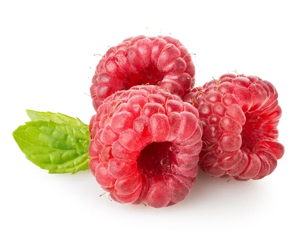 Raspberry — Stock Photo, Image