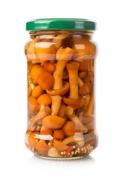 Honey agarics in a glass jar — Stock Photo, Image