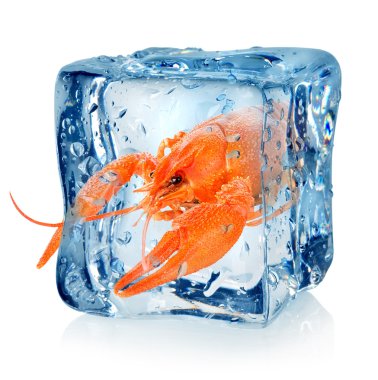 Ice cube kerevit