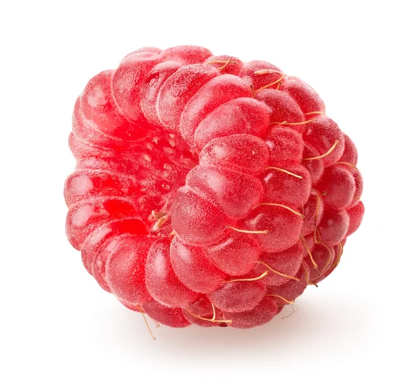 Juicy raspberry — Stock Photo, Image