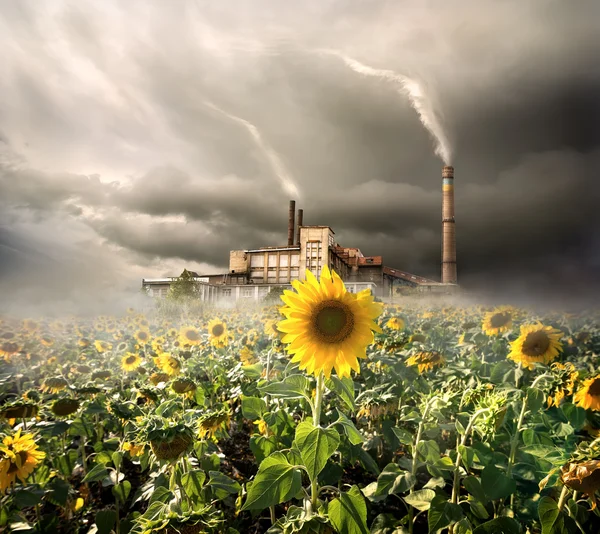 Contaminação ambiental — Fotografia de Stock