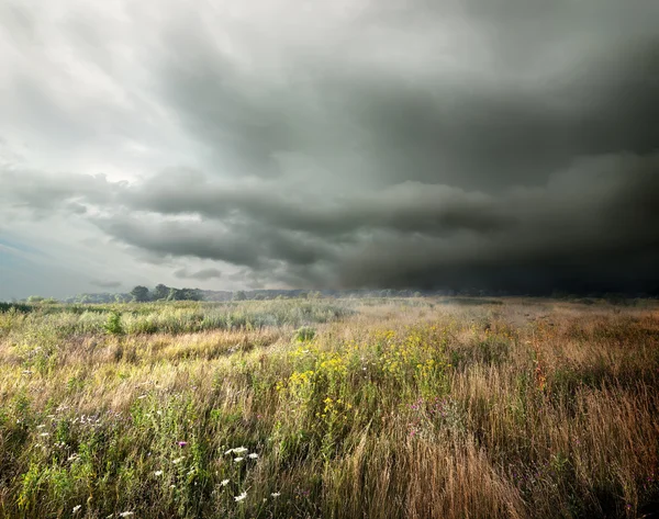 Storm wolken boven veld — Stockfoto