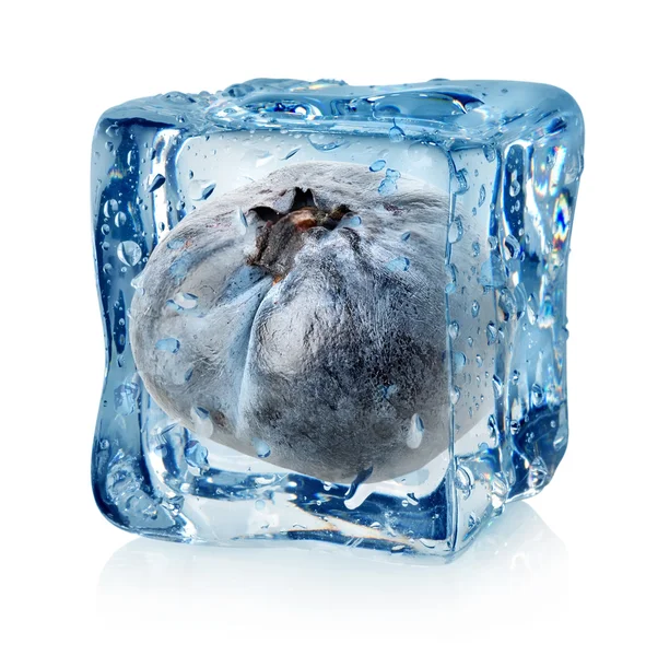 Blueberry in ice cube — Stock Photo, Image