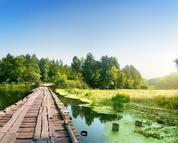 Puente sobre un río pantanoso — Foto de Stock